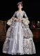 Women Gray Jacquard Multi Layered Long Lace Sleeves Floor Length Festive Formal Ball Gown Masquerade Party Dress