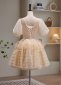 Deep V Neck Tutu Short Prom Homecoming Dress 3