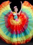 Women Super Large Skirt Rainbow Ball Gown Princess Tulle Dance Costume