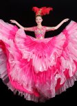 Half Sleeve Rose Red Girls Tulle Tutu Dresses For Stage Performances