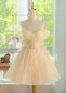 Champagne Off the Shoulder Tulle Short Cocktail Dress