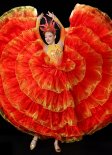 Women Dance Dresses Carnival Party Swing Full Super Wide Skirt for Dance