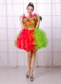 Holiday Apple Bud Shape Girls Dress Carnival Parade Personalized Costume
