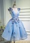 Deep V-Neck Blue Mesh Butterfly Applique Short Party Dresses