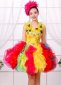 Carnival Stage Apple Shaped Dresses Girls Colorful Tutu Ball Gown