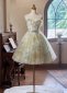 Applique Tulle Off the Shoulder Short Formal Dress 3