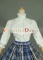 Medieval Gothic Victorian Dress Carnival Grid Ball Gown 3