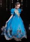 Girls Blue Tulle Evening Ball Gown Party Dress 2