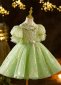 Girls Sequin Sparkly Green Tulle Tutu Ball Gown Dress