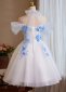 Blue Off the Shoulder Applique Girls Prom Homecoming Dress 1