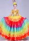 Rainbow Tulle Ruffled Dancing Dresses Professional Outfit 1
