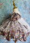 Children Girls Floral Short Sleeved Lolita Mini Dress 2