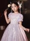 Children Queen Girls Silvery Mesh Birthday Formal Dress 1