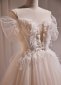 Champagne Tulle Sequins Pearls Off the Shoulder Wedding Dress 03
