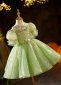 Girls Sequin Sparkly Green Tulle Tutu Ball Gown Dress 2