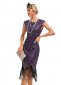 Women Flapper Dress Fringe Sequins 1920s Vintage Cocktail Dress