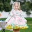 Upscale Children Thanksgiving Princess Formal Dresses 4