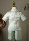 Boys Blue Floral Paisley 5 Piece Shorts Tuxedo Suit 3