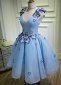 Deep V Neck Blue Mesh Butterfly Applique Short Party Dresses 4