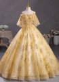 Yellow Embroidery Appliques Tulle Off the Shoulder Evening Dress