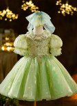 Girls Sequin Sparkly Green Tulle Tutu Dress Kids Formal Special Occasion Party Midi Dress Customized