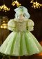 Girls Sequin Sparkly Green Tulle Tutu Dress Kids Formal Special Occasion Party Midi Dress Customized