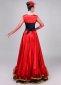 Spanish Flamenco Gypsy Dress 3
