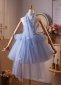Blue Sweetheart Butterfly Decoration Short Party Dress 4