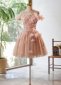 Pink Glitter Off the Shoulder Applique Feather Formal Dress 1