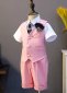 Pink 4 Pieces Set Vest Shorts Shirt and Bow Tie 3