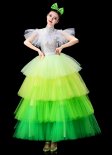 Girls Theater Stage Tulle Cake Dresses Holiday Dance Costume
