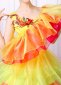 Tulle Ruffled Dance Costume for Women Carnival Outfit 1