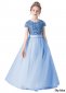 Girls Sequin Mesh Princess Party Formal Dress Sky Blue
