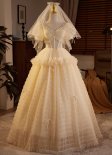 Charming Champagne V Neck Short Sleeves A Line Tulle Long Prom Dresses