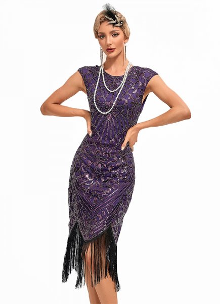 Women Flapper Dress Fringe Sequins 1920s Vintage Cocktail Dress