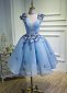 Deep V Neck Blue Mesh Butterfly Applique Short Party Dresses 2