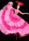 Half Sleeve Rose Red Girls Tulle Tutu Dresses 2