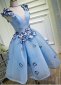 Deep V Neck Blue Mesh Butterfly Applique Short Party Dresses 3