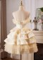Champagne Lace Tiered Short Spaghetti Straps Graduation Dress 3
