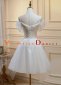 Ivory Tulle Straps Pleats Homecoming Dress 1