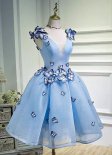Deep V-Neck Blue Mesh Butterfly Applique Short Party Dresses