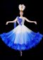 Women Colorful Dancer Dress 1