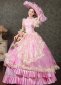Rococo Lace Long Sleeves Pink Marie Antoinette Ball Gowns Dress