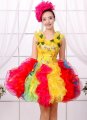 Carnival Stage Apple Shaped Dresses Girls Colorful Tutu Ball Gown