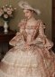Marie Antoinette Queen Pink Fantasy Dress Brocade Floral Gown 2