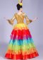 Rainbow Tulle Ruffled Dancing Dresses Professional Outfit 4
