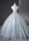 Applique Flower Glitter Tulle Long Prom Dress 4