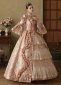 Marie Antoinette Queen Pink Fantasy Dress Brocade Floral Gown