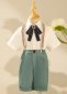 3pcs Sage Green Boys Beach Wedding Shorts Formal Suits