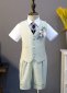 3pcs Sage Green Boys Beach Wedding Shorts Formal Suits Gray